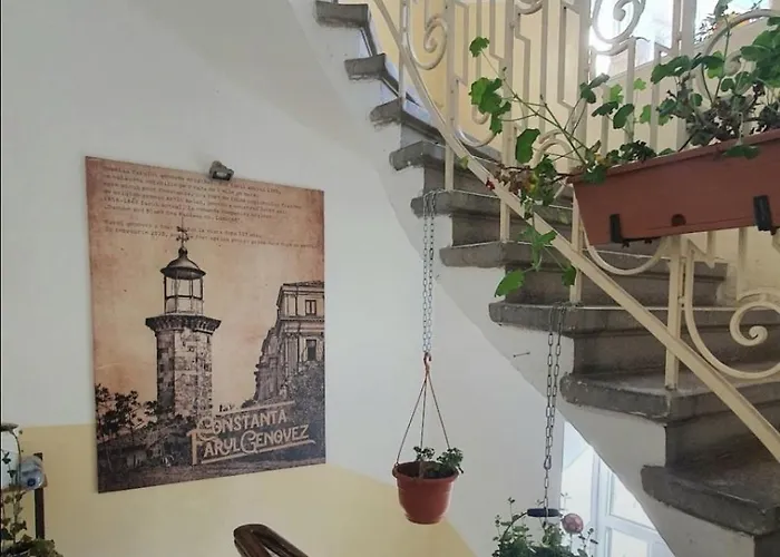 Mianelly Center Köstence