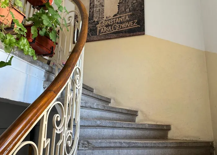 Mianelly Center Daire *